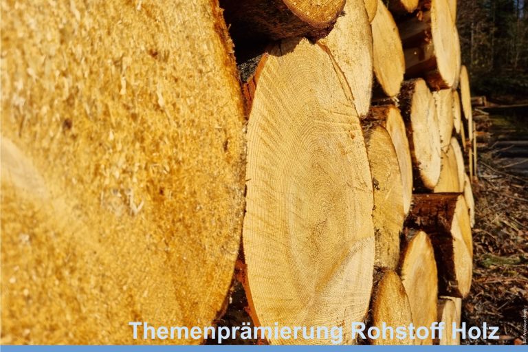 Ideenpool KliWa, Grafik Rohstoff Holz 3_2