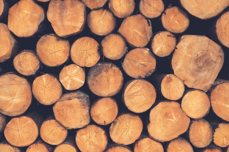i-holz4