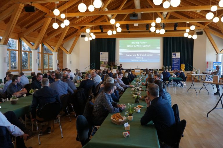 2022.03.25 Holztag
